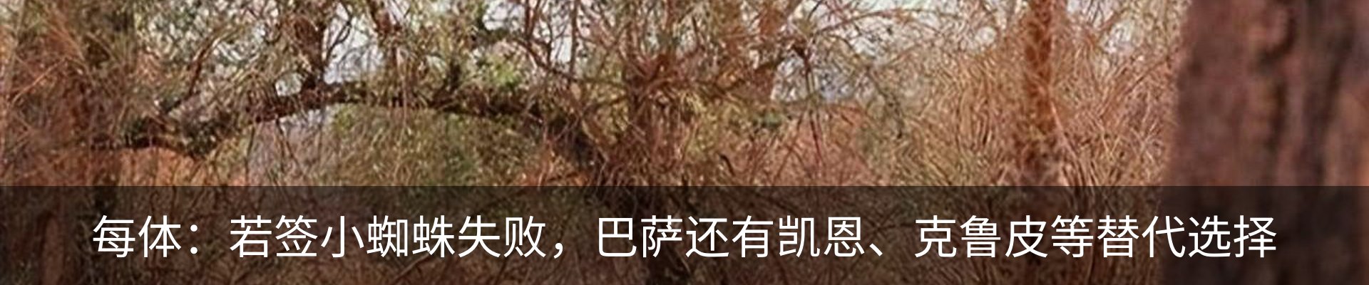 热点资讯